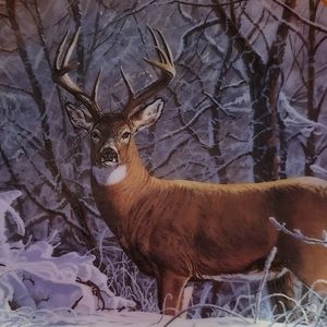 Vtg Plate "Winter Whitetail" Bruce Miller Friends Of The Forest Danbury Mint